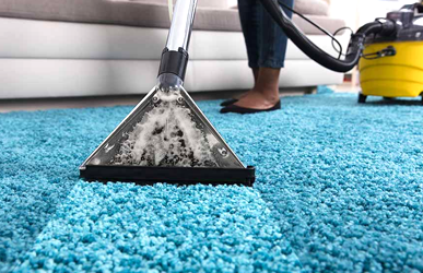 Carpet Cleaning